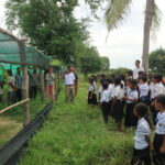 The Planting tree in Kompang Community